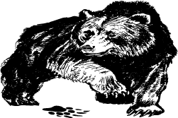 image-724782-ed32c87c-5842-4b7b-92d2-2ed38ebdbc73.png